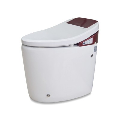 Factory manufacture electric Elegant Smart Toilet Automatic Toilet With Bidet Faucet